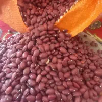 لوبیاقرمز|عمدهفروشی|بهار, |دیوار