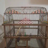 قفس سهره مهره بافت درجه یک