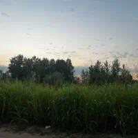 زمین با موقعیت مسکونی و تجاری
