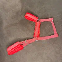 زین اسب|اسب و تجهیزات اسب‌سواری|همدان, |دیوار