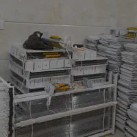 حشره کش برقی از کوچه ترین حشره|سایر لوازم برقی|تهران, خزانه|دیوار