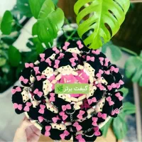 عروسک جا سوئیچی