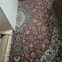 فرش فروشی|فرش|کاشان, زیدی|دیوار