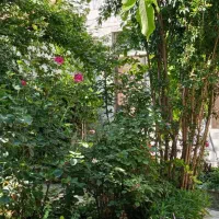 ابوذر-غفاری-225-متر-زمین-زیر-فی