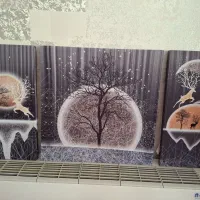 تابلو سه بعدی در ابعاد 59× 59 و 59 ×30|تابلو، نقاشی، عکس|اصفهان, کوی امیریه|دیوار