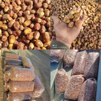 خرما زاهدی تازه برداشت باکیفید
