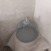 قفس پرنده