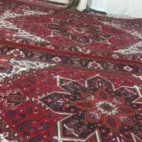یک جفت فرش دست بافت|فرش|عجب شیر, |دیوار