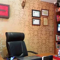 دیوانعالی کشور ماده۴۷۷               دادگاه انقلاب