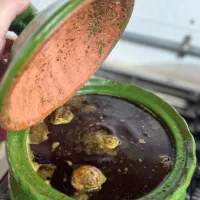 قورمه سبزی سرخ شده معطر و محلی شمال