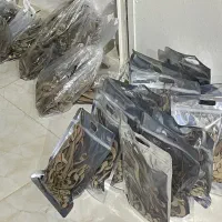 به تعدادی نیروی ساده خانم و اقا