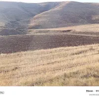 زمین کشاورزی در تازه کند سفلا