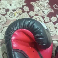 دستکش بوکس|تجهیزات ورزشی|رشت, بازار|دیوار