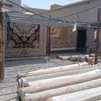 قالیشویی قدس