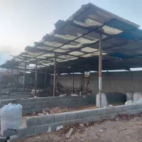 اجاره-سوله-باغی