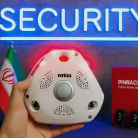 دزدگیر اقتصادی