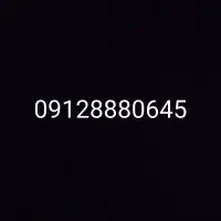 09128880645