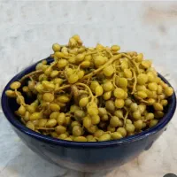 ۶عدد بطری یک و نیمی موجود