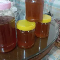 عسل آذربایجان|خوردنی و آشامیدنی|تهران, کرمان|دیوار