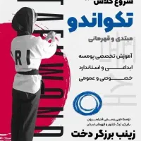 کلاس های قهرمانی تکواندو