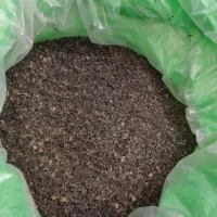 چای بهاره گیلان