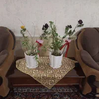 مبلمان راحتی ۶ نفر سالم و تمیز همراه با ۴میزعسلی|مبلمان خانگی و میز عسلی|مشهد, شهرک امام هادی (شهرک غرب)|دیوار