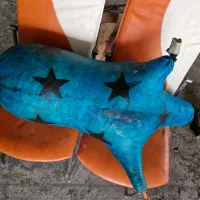 پوست نی انبان