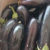 میوه ترتازه|خوردنی و آشامیدنی|مشهد, خین عرب|دیوار