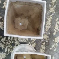 گلدان|گل مصنوعی|دورود, |دیوار