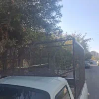 اتاق پیکان وانت|قطعات یدکی و لوازم جانبی|شیراز, شهرک بهشتی|دیوار