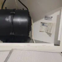 هود دورسا|هود|کاشمر, |دیوار