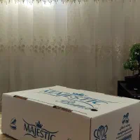 کارتن پسته