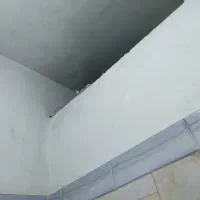 همخانه