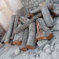 هرس و برش چوب ب قیمت روز