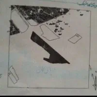 زمین های دانشگاه شهید باهنرکرمان