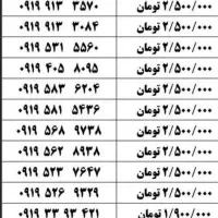 ۰۹۱۸-۱۴۱-۰۰۸۱