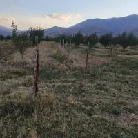 باغ سیب مرگور روستای گارانه و سه گرکان 6500 متر|فروش دفتر صنعتی، کشاورزی، تجاری|ارومیه, |دیوار