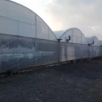 گلخانه هیدروپونیک فول امکانات در دشت|فروش دفتر صنعتی، کشاورزی، تجاری|نیشابور, فضل|دیوار