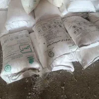 کود اوره سفید