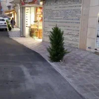 مغازه ۲۰ متری کف سرامیک دیوار سرامیک تا بالا|فروش مغازه و غرفه|رشت, سیا اسطلخ|دیوار