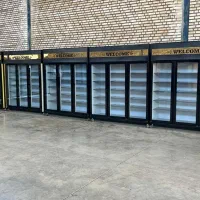 یخچال دومتری