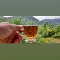 چای ممتاز بهاره و قلم و شکسته شمال