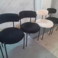 صندلی فلزی تدی ویرا|صندلی و نیمکت|چهاردانگه (تهران), |دیوار