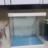 اکواریوم|ماهی|مشهد, نیروی هوایی|دیوار