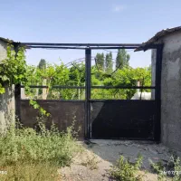 باغ-ویلا-ایستاده-انگور-باغچه