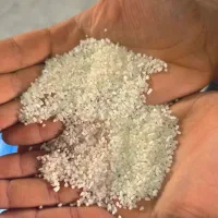 شمیم نیم دانه|عمدهفروشی|شادگان, |دیوار