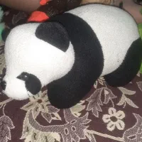 تعدادی عروسک قدیمی از قیمت 50 هزار تا 400 هزار|اسباببازی|تهران, دولاب|دیوار