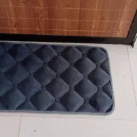 پادری
