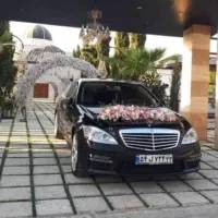 تاکسی vipآیان|استخدام حمل و نقل|شیراز, شهرک گلستان|دیوار