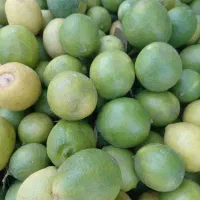 لیموترش